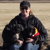 Home/Pet Sitter located in Blackfalds