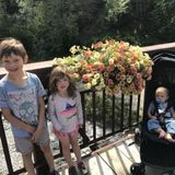 Nanny Needed ASAP!