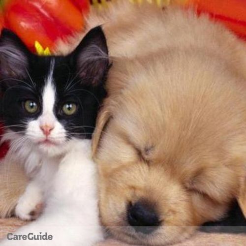 Pet Care Provider Viviam V's Profile Picture