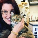 Available: Reliable House/Garden/Petsitter in Halifax, Nova Scotia with excellent references.