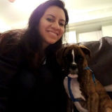 An experienced animal lover looking for opportunities in the Denver and surrounding areas.