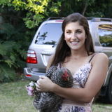 Responsible Student House Sitter, Pet Friendly!