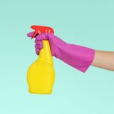 Cleaning Services