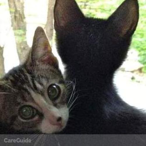 Pet Care Job 's Profile Picture