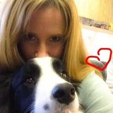 South Lake Tahoe, California Petsitter
