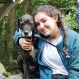 Caring college student looking to fill my pet void by helping Burlington pet owners!
