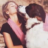 Best pet sitter North Hollywood/West Hollywood/Flexible locations