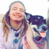Loving Animal Caregiver