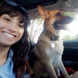 Seeking customers in the form of owners, that need a caretaker to give equal or greater attention to their furry pets.