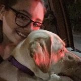 Well Trained Pet Service Provider Available Immediately