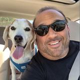BARK AVENUE WALKS & PET SITTING: Cornelius - Huntersville - Davidson - Mooresville