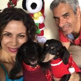 A Pet Loving Home For Your Loyal And Furry Companion