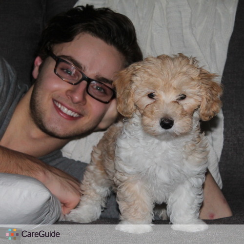 Pet Care Provider Benjamin J's Profile Picture