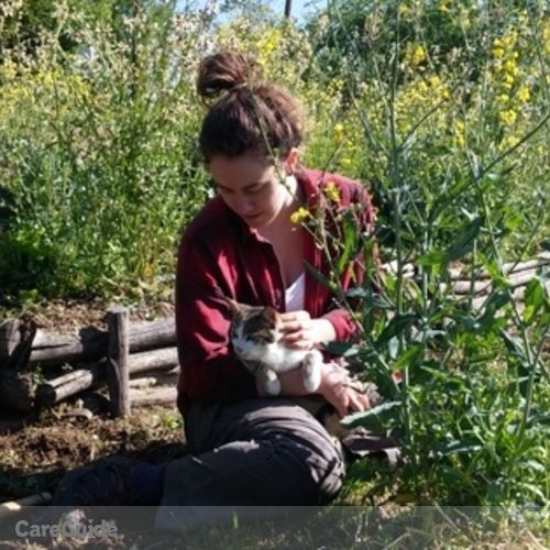 House Sitter Provider Ellen O's Profile Picture