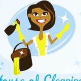 Talented Home Cleaner for Your Home