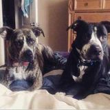 Urgent military family need help!