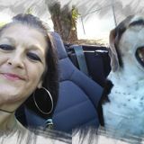 Let me take care of your furbabies for you!