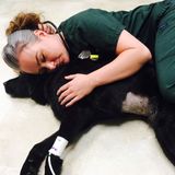 Veterinary assistant currently in Vet Tech school looking for some extra fur friends!