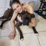 Dedicated Petsitter and walker