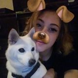 Hardworking Pet/Baby sitter in Nicholasville, Kentucky