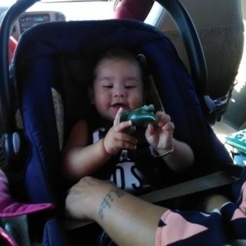 House Sitter Job Dede L's Profile Picture