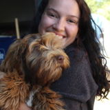 I'm Ophelia Sutter, I am avaible for house sitting in Ashland and overnight care for animals.