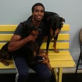 Future Veterinarian/Animal Lover Looking To Be Hired As An Overnight Pet Care Taker, Dog Walker, Dog sitter, Or Dog Feeder