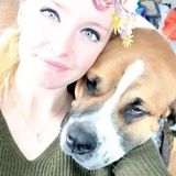 Caring Dog Sitting