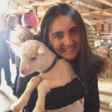 My name is Kaitlin Martin, and I would love to pet sit while home from college this summer.