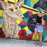 Petsitter / Dog Walker