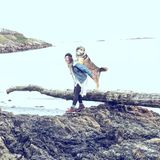 Dog Sitter and Trainer, Full Availability
