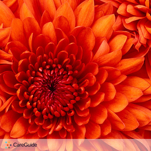Housekeeper Provider Lorrie C's Profile Picture