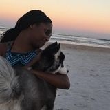 Looking to take care of your fur baby