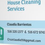 Cleaner in glen cove, Landing, sea cliff