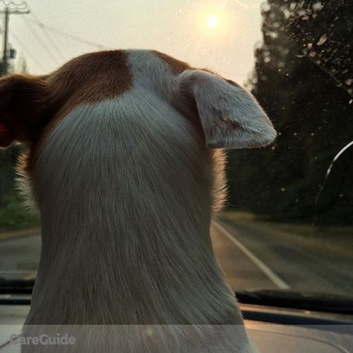 Pet Care Provider Doug H's Profile Picture