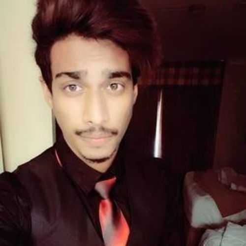 Web Developer Provider Vivek P's Profile Picture
