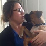 Reliable and experienced summer cat/dog sitter