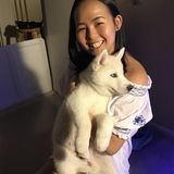 Diamond Bar Pet Sitting Available For Being Hired in California