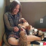 Experienced pet care