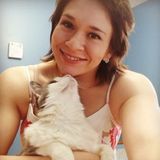 Moving & Staying In A Hotel For A Month - Need Someone to Watch My 2 Cats While I Find A House to Purchase