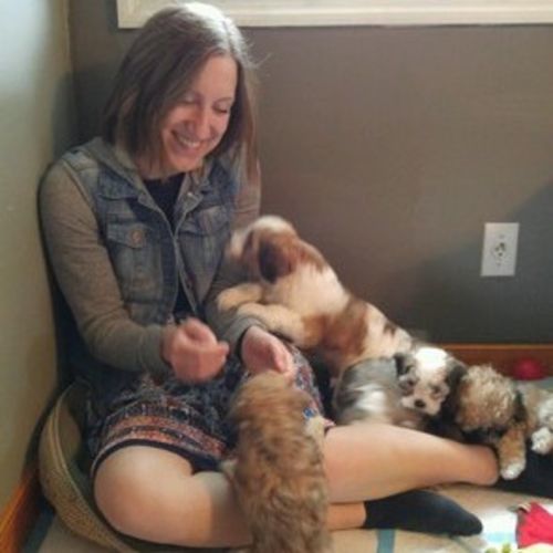 Pet Care Provider Caitlin M's Profile Picture