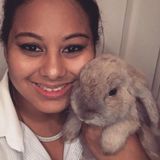 Fun Pet sitter and Walker for Hire!