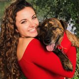 Petsitter/ dog walker with 3+ years experience at an animal shelter, dog groomer/boarding center, and 1-1 client relations