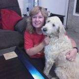 Careful Dog Sitter in Waterloo, Ontario