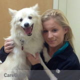 Experienced Dog Walker & Pet Care Provider