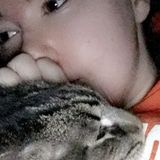 Devoted and fun pet sitter available for hire