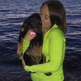 Seeking Marquette Pet Sitter, Michigan Jobs