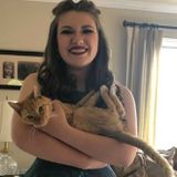 Experienced Cat Sitter in the Boston Area