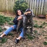 Dedicated Housesitter for Hire