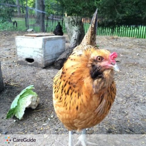 Pet Care Provider Stephanie Donovan's Profile Picture